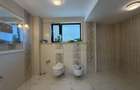 Vila Premium *800mp* // teren *963mp* / garaj cu 6 locuri* // Iancu Nicolae - 32