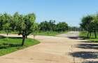 Oportunitate de investiții la km 70 Autostrada Bucuresti-Pitesti!   - 4