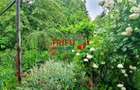 Casa tip duplex de vanzare zona Cetate - 15