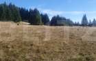 Teren extravilan, 50.000 mp, zona Vatra Dornei