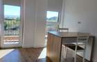 Apartament 1 camera decomandat 45 mp Valea Lupului Str Soarelui 156398 - 4