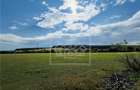 Teren intravilan, 5861 mp - Tocile - 4