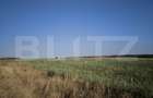 Teren 30.350 mp (600 mp intravilan) – ideal investiție, Cârcea Metro - 2