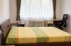 Apartament cu 1 camera, zona Profi - Grigorescu - 2