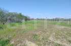 Teren intravilan, 2194 mp, 17 m deschidere, zona Mofleni - 2