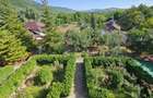 Vila superba de vanzare in Vintila Voda, Buzau D+P+1 si anexe - 12