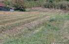 Teren de vanzare – Popesti Vale, 3600 mp - 3