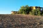 Ciolpani, spre Izvorani - COR, vanzare teren 5000mp. - 11