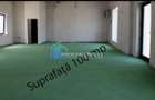De Inchiriat | Spatiu Comercial | SAD | Timisoara | Zona Centrala | - 12