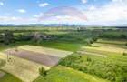 Teren 25.100 mp cu potențial major de dezvoltare în Prejmer - 6