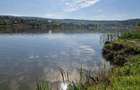 Lac Dorobanț, 950 mp teren, cu deschidere direct la lac - 2