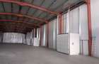 Zona Drumul Intre Tarlale - hala 450mp si birouri 200mp - 2