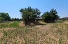 Teren 5.465 mp intravilan și front stradal – Topraisar, Constanța Comision Zero - 10