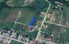 VANZARE TEREN INTRAVILAN 1400 MP. - CAMPINA/VOILA - 2