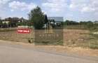 Teren de vânzare în Mogoșoaia – 2 loturi distincte, 165 €/mp
