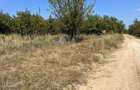 Teren intravilan 5744 mp Mosoaia-Prunilor - 1