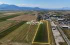 Teren extravilan 10.900 mp, Săcele, vizavi de cartier Izvor - 1