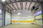 Hala moderna / Productie / Depozitare / Show-room - 4