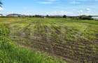 Teren Intravilan de vanzare, 4300 mp, zona plata, in Jucu de Mijloc - 2