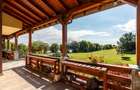 DOMENIU de 5,9 ha I Lac, Casă și Aerodrom – multiple destinații