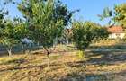 Casă individuală în Bucovăț cu 3250 mp