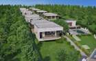 Teren intravilan cu potential strategic , Cernica sat Tanganu, 41000 mp, investi - 2