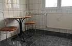 ap 3 camere, f luminos, Parcul Circului - 7