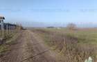 Teren intravilan la  DJ 101, in Gruiu, aproape de manastirea Caldarusani, ideal - 3