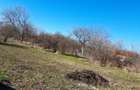 COMISION 0/Teren casă / duplex Mehala Ronat 937 mp – acces rapid oraș - 2