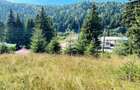 Teren Intravilan Predeal - Acces direct DN - Priveliste deosebita - 25