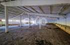 Hala industriala 2000 mp + teren 2776 mp | Rasnov – zona industriala Chimica - 8