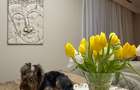 Penthouse exclusivist vedere parc Herastrau - 22