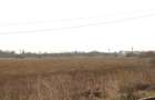 OTOPENI - Str. Drumul Garii Balotesti, 11.740 mp. teren intravilan - 2
