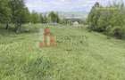 Teren intravilan 5.261 mp Tohănița | Deschidere 49 m | Utilități, lângă pădure - 7