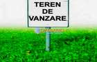 Teren intravilan de vanzare 3557 mp d=20.5 Alba Micesti ideal investitie - 1