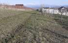 Teren intravilan Sura Mare 550mp - 1