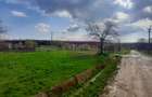 DE VANZARE TEREN 3400 MP IN SAT PODU ILFOVAT / COM BUTURUGENI (GR) - 5