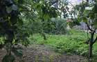Casă cu potențial, 4 camere, lângă pădure-Jud Giurgiu-Mihai Bravu. - 8