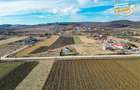 Proprietate remarcabila: 32.000mp teren, acces direct DJ112,Ilieni,Covasna - 9