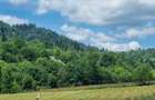 Casa de vânzare cu 4185mp teren,Câmpulung Moldovenesc, Bucovina - 11