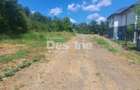 TEREN intravilan  Balciu - MIROSLAVA , 709 MP, 77.990 EURO - 2