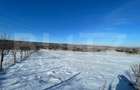 Teren extravilan, 9.600 mp, intrare Rădășeni - 1