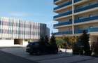 Studio Mamaia Nord - 4