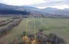 Teren 5.800 mp Purcareni curent, gaz, apă / Strada 30 decembrie - 8