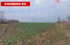 Comision 0% Teren extravilan agricol 21,32 ha sau intravilan cu PUZ aprobat - 20