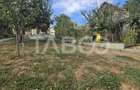 Casa cu piscina si curte libera 438mp de vanzare in Turnisor Sibiu - 7