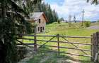 Teren intravilan generos în Râșca – 4.851 mp - 1
