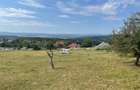 Teren intravilan 1.17ha cu panoramă superbă și PUZ aprobat – Baia Sprie - 1