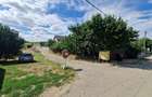 Teren constructii str Plantelor , Piatra  Neamt - 3