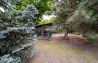 Casa de vanzare 162 mp, com Prunaru, Teleorman - 40